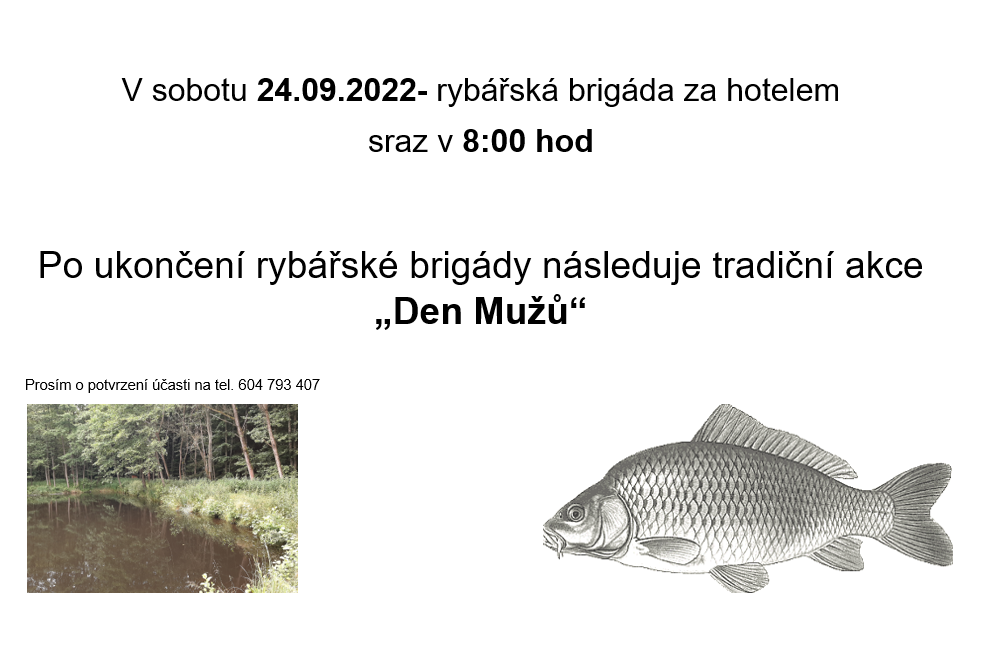 brigáda a den můzu